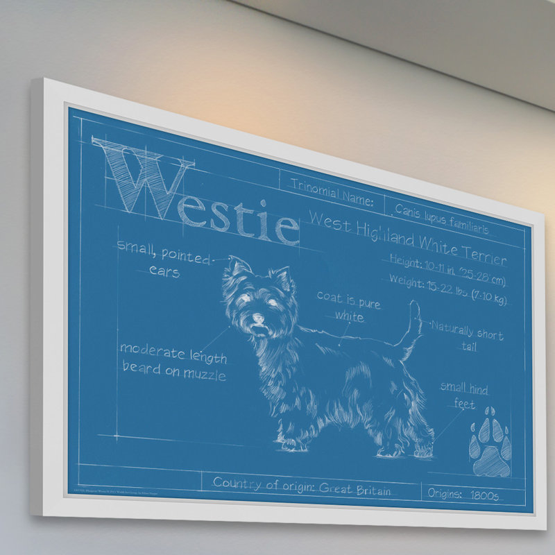 « westie », reproduction d’art encadrée, 30 po x 45 po