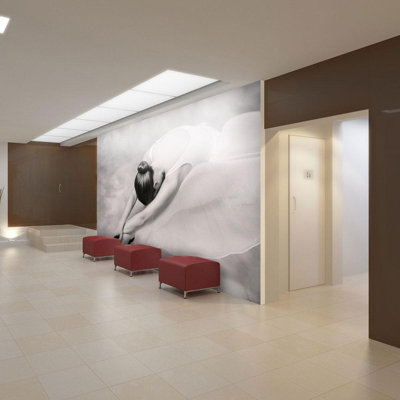 Murale ballerine