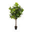 Faux Fiddle Leaf Tree-Faux Fiddle Leaf Tree-9'-1085074925
