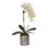 Real Touch White Phalaenopsis Orchid With Succulent Flower Arrangement In Round Cylinder Silver Etched Ceramic Pot