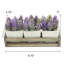Succulent en pot summer-840594095