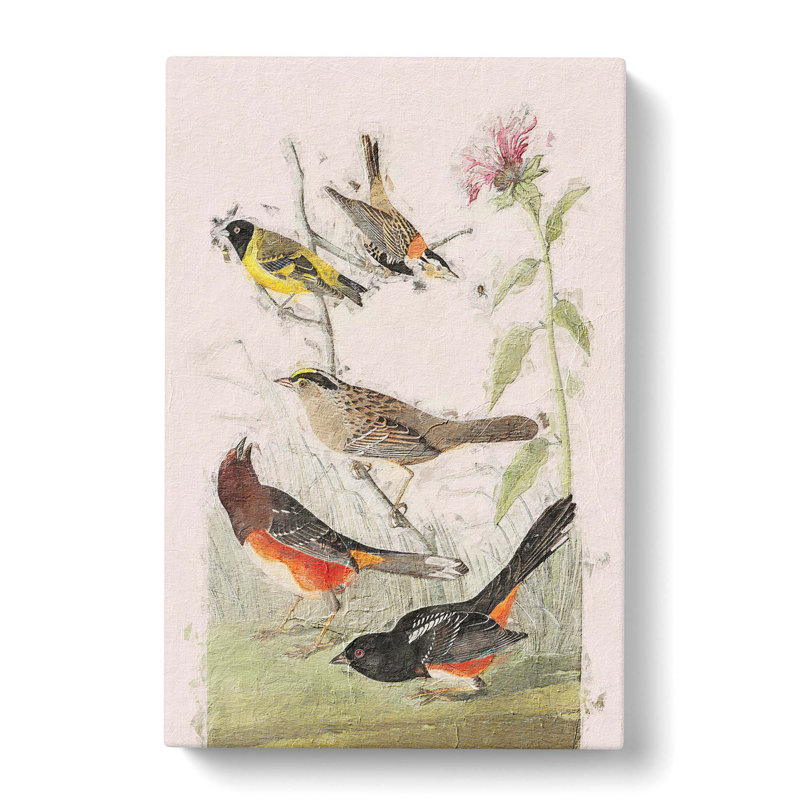 A Selection Of Birds - Wrapped Canvas Painting, 76cm H x 50cm W x 3cm D