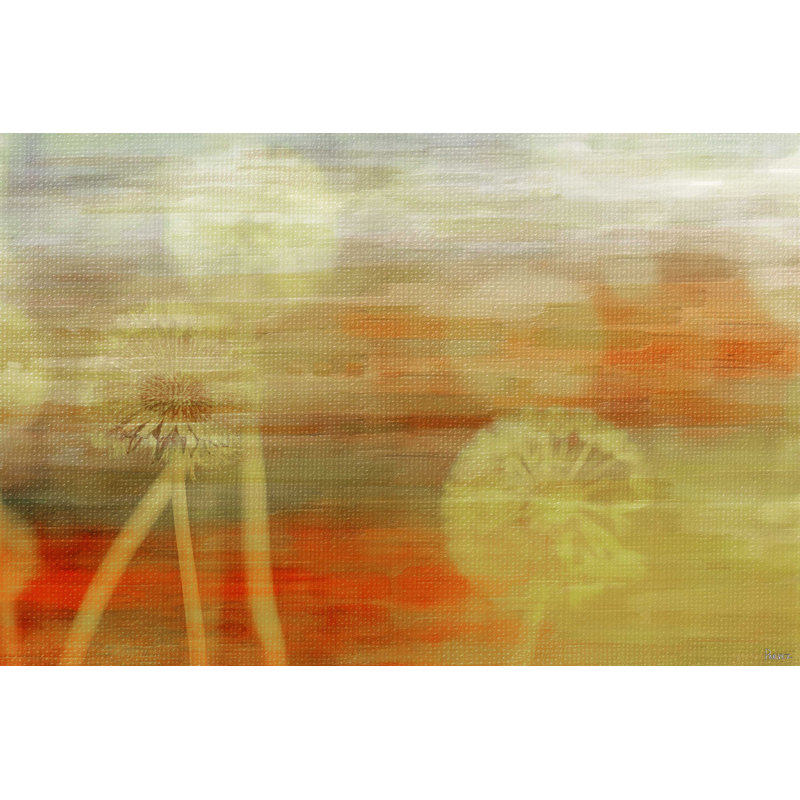 Parvez Taj - Wrapped Canvas Print, 61cm H x 91cm W