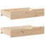 Argan Solid Wood Daybed with Trundle-204152761-204152763