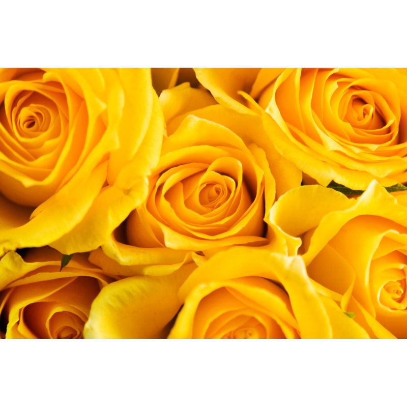 Roses For Mothers Day - Wrapped Canvas Print, 30cm H x 46cm W x 3.8cm D