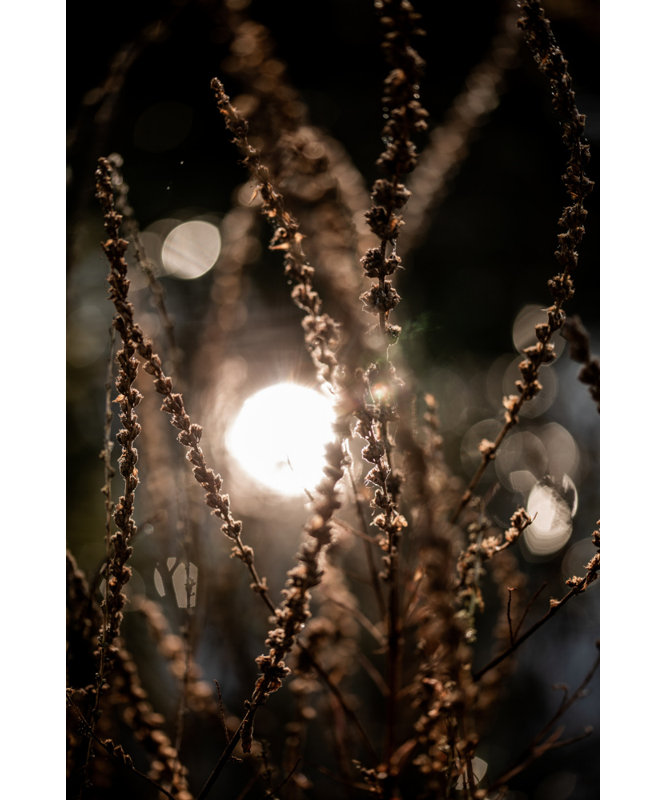Wrapped Canvas Print, 60.96 cm H x 91.44 cm W