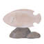 Poisson sur rocher (ensemble de 4)