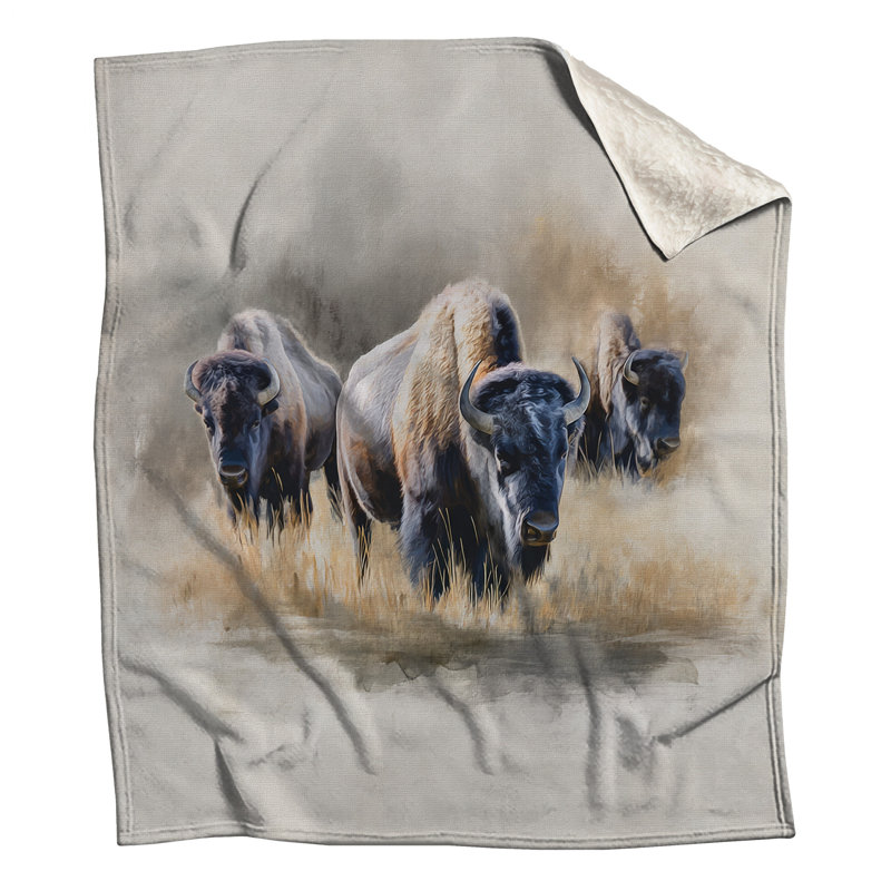 Couvertures de bisons dans les prairies, L 60 po x H 80 po