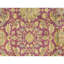 Hand Knotted Wool Oriental Area Rug in Red And Black