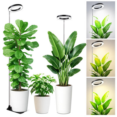 Lampe de croissance pour plantes d'intérieur, lampe horticole à spectre complet de 16 cm avec socle, lampe de croissance réglable de 150 cm pour plantes hautes et grandes, socle/piquet de plantation, minuterie automatique 6/8/12/16 h, 3 couleurs de lumière, 5 niveaux de luminosité, lot de 2