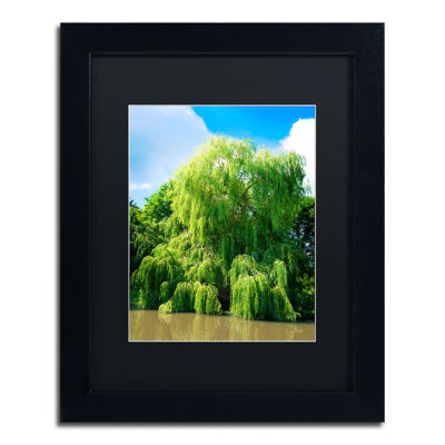 « weeping willow » par philippe sainte-laudy,, reproduction de photo encadrée