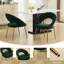 Chaise de style moderne pour la salle à manger, rembourrage en mousse, contreplaqué, pieds en métal, ergonomique, pieds courbés réglables et réglables, ensemble de salle à manger, tissu, pieds dorés-1069150066