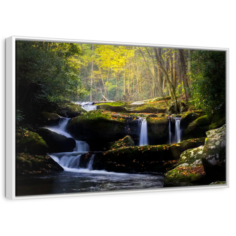 Stream In The Smokies, 46 po x 31 po, Cadre flottant blanc