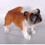 Statue de bouledogue en peluche grandeur nature