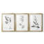 Botanical Imprint I - Impression personnalisée de qualité supérieure avec cadre mat - 3 pièces