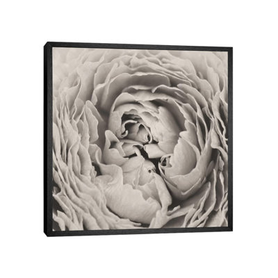 BW Peony 1 Piece Wall Art on Canvas