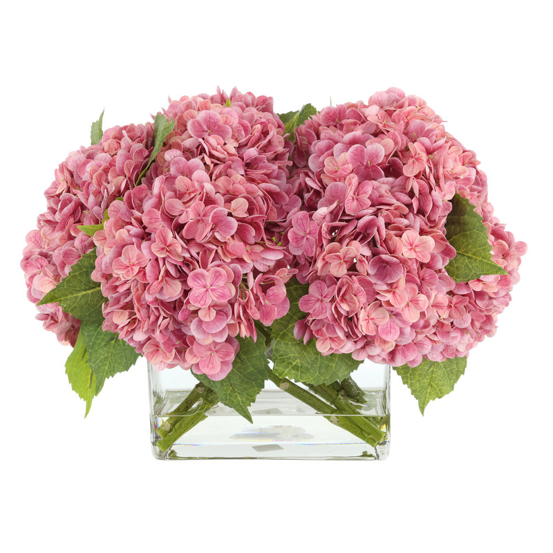 Véritable hydrangée dans un vase en verre, Rose