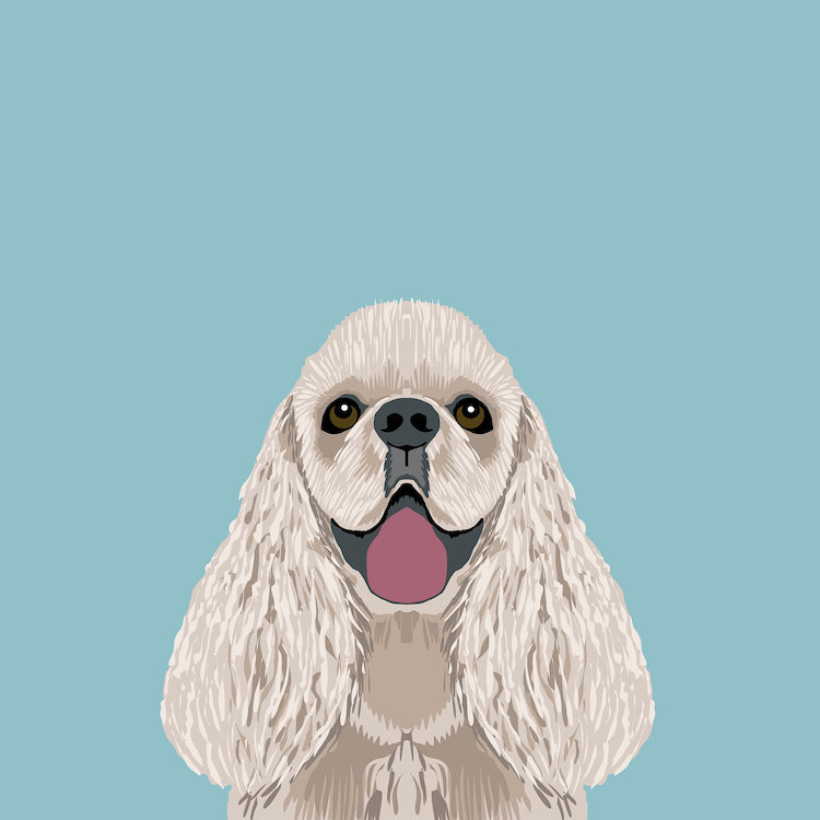 Cocker Spaniel, impression sur toile tendue, H 16 po x l 16 po x P 1 po, Papier beaux-arts encadré noir, Blanc