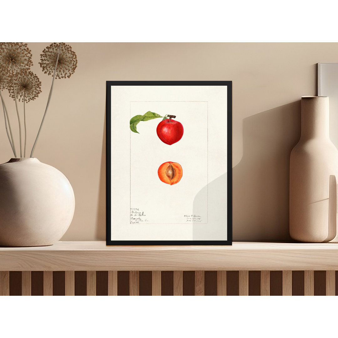 No Frame Print