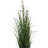 Artificial Grass and Eucalyptus in Pot-976843448