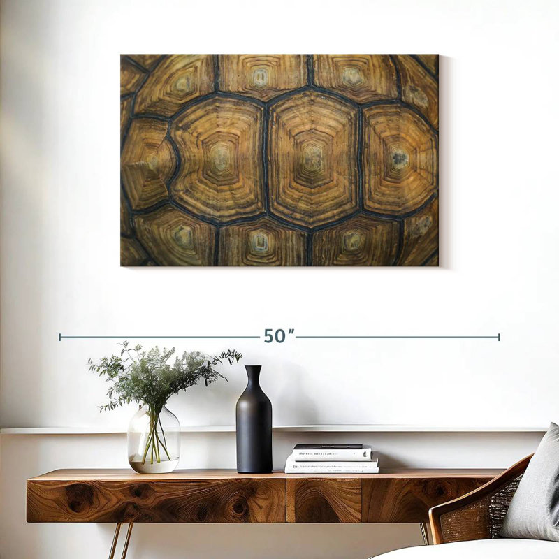 Écaille de tortue Brampt, H 24 po x l 36 po