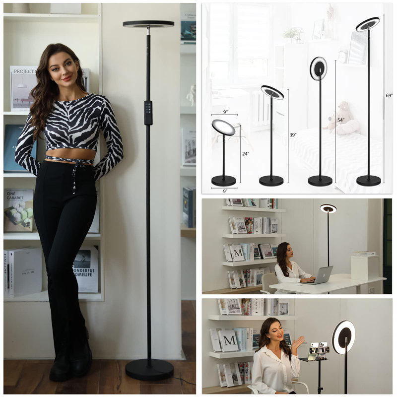 Hadee 69'' Black LED Novelty Floor Lamp