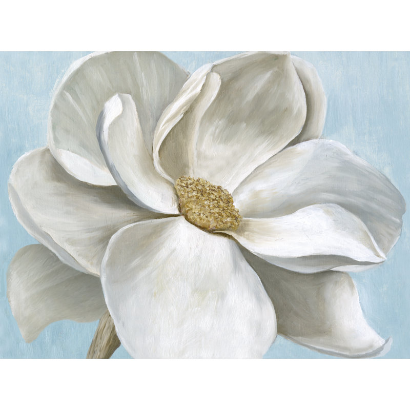 Fleur blanche par Inconnu, Papier avec cadre photo en érable, H 12 po x l 16 po, Blanc / Blanc