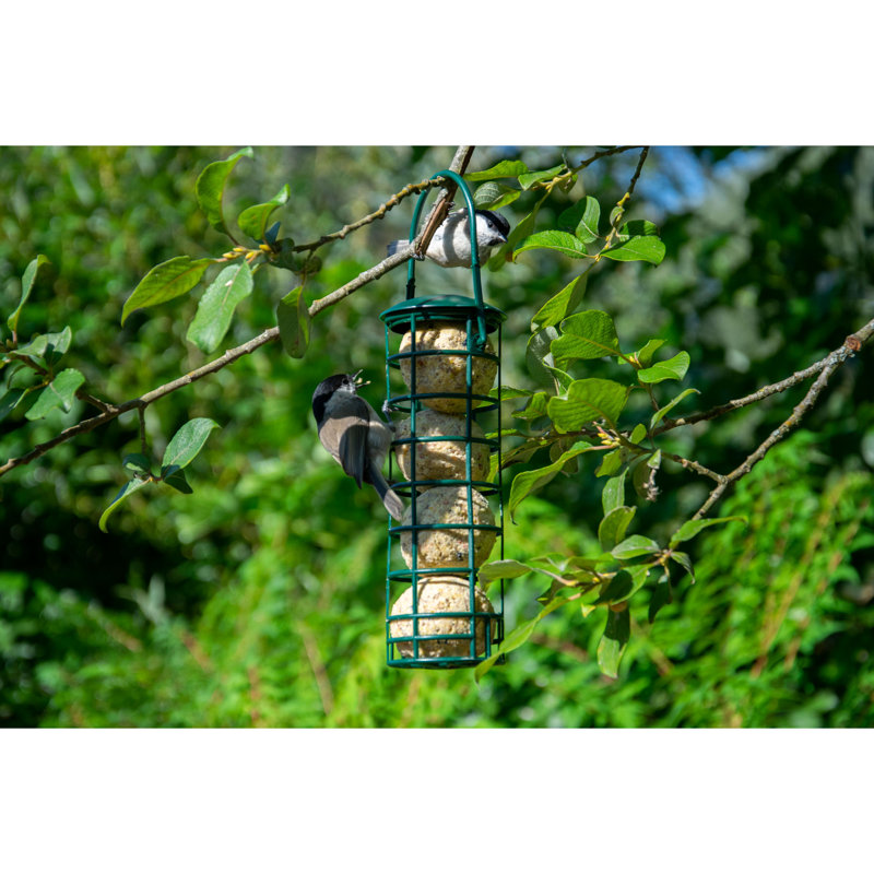 100X Fat Balls Without Net Incl. 2 Fat Ball Holders, Fat Food For Wild Birds, 9000G Bird Food