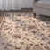 Feagin Oriental Machine-Woven Khaki Area Rug