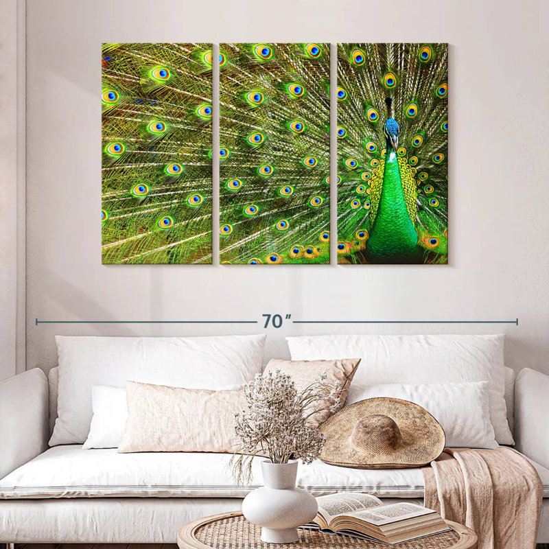 Brampt Showing Off Peacock Feathers, 32" H x 50" W