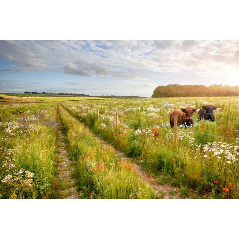 Flowers And Two Cows by Simotion - Wrapped Canvas Print, 51cm H x 76cm W