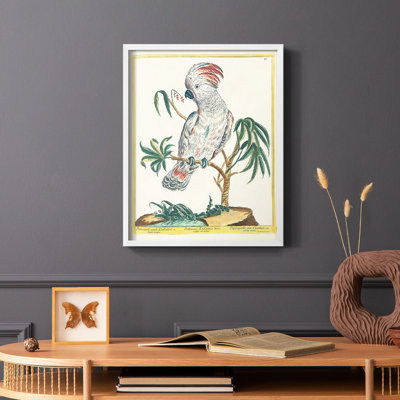 Pastel Birds II Framed Print - Solid Wood
