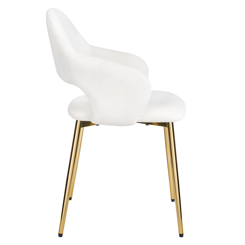 Velvet Dining Chairs Set Of 4, Modern Accent Chairs With Hollowed Back, Living Room Chairs Upholstered Side Chair With Golden Metal Legs For Dining Room Kitchen Vanity