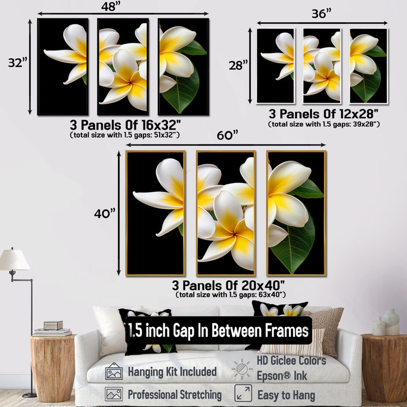 Rêve de rêve Plumerias pureté - ensemble d'art sur toile Plumeria, Cadre naturel flottant, H 28 po x l 36 po x P 1 po