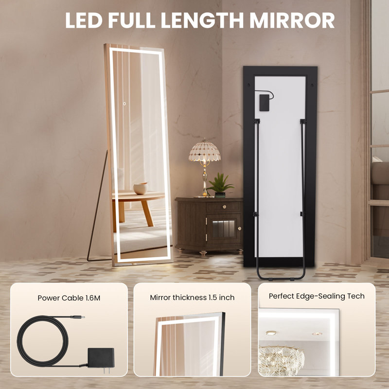 Dimmable LED Full Length Mirror with Lights , 65" x 24"