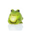 Holsworthy Frog Plastic Garden Statue