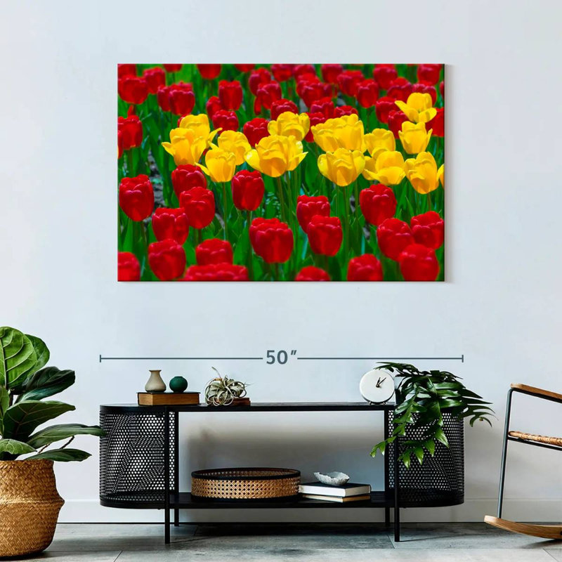 Harnek Wisconsin Spring Tulips, 30" H x 45" W