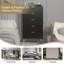 Accent Chest-136915619