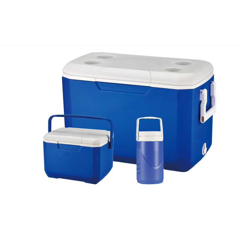 Dakota Fields Picnic Cooler in Blue