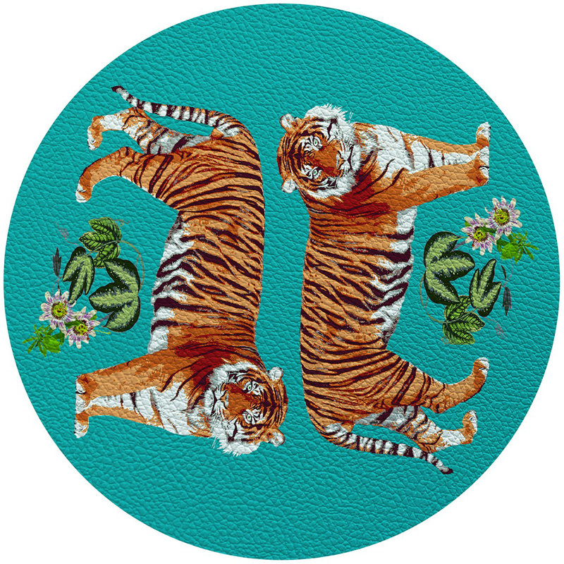 Napperon Tiger, Sarcelle