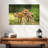 Brampt Fox Kits-107847482