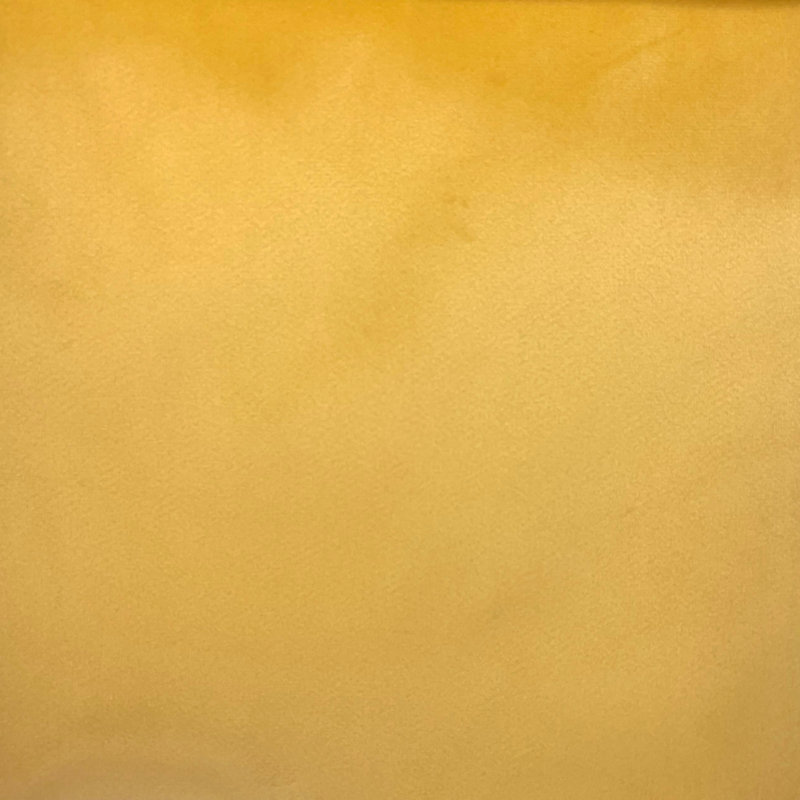 Opulence - Solid Soft Ultra Plush Velvet Upholstery Fabric By The Yard, Sun Gold