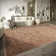 , Brown Kollektion 1879 Area Rug