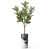 Tree Wood Grey