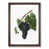 Walnut Framed selected