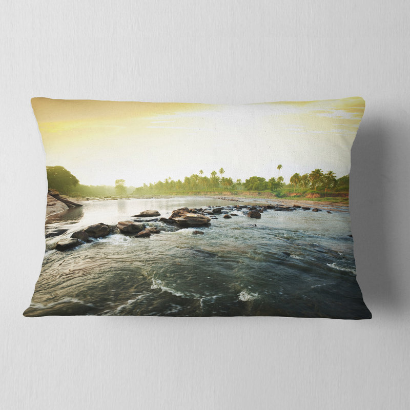 Magnifique rivière tropical avec coussin lombaire d’eau propre