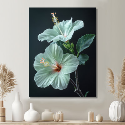 Hibiscus vert cristal II - Hibiscus