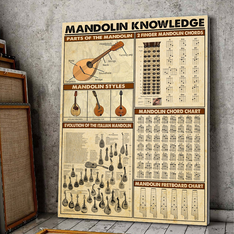 Mandoline, savoir-faire tendu sur toile tendue - Illustration musicale instrument noir et brun, H 14 po x l 11 po x P 2 po
