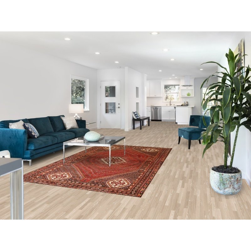 Tapis traditionnel rétro 5 x 8 po