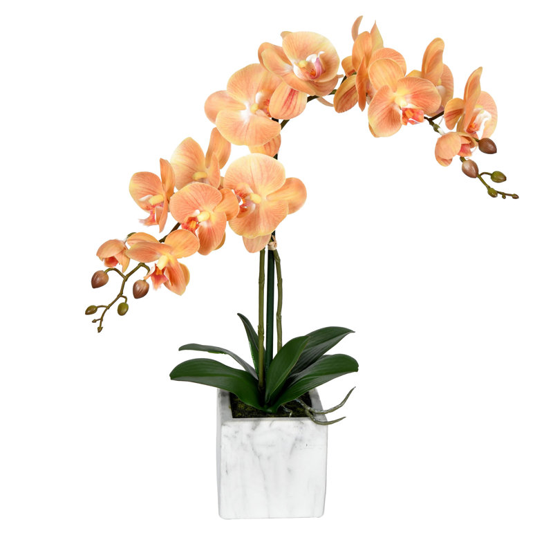 Phalaenopsis artificiel en pot 22 po Karelis, Corail